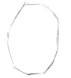 小盆栽蘆薈素描畫法步驟01