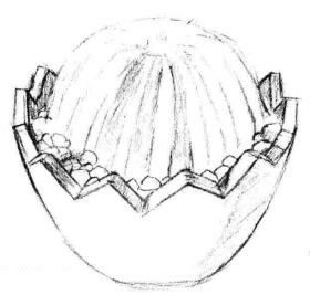 小盆栽仙人球素描畫法步驟05