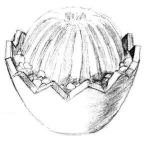 小盆栽仙人球素描畫法步驟06