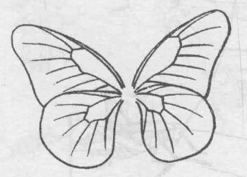 白描蝴蝶的畫(huà)法步驟與技巧03