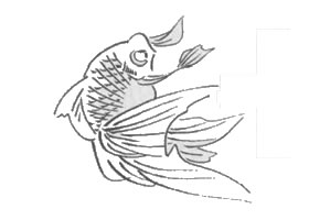 金魚白描作品圖片
