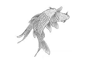 白描鯉魚(yú)作品圖片