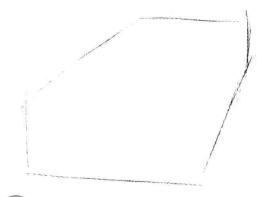 三色花素描畫法步驟01