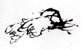 蘭花的畫(huà)法范畫(huà)畫(huà)法步驟01
