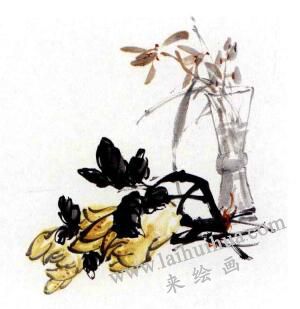 蘭花的畫(huà)法范畫(huà)畫(huà)法步驟03