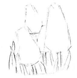 葡萄風(fēng)信子素描畫(huà)法步驟01