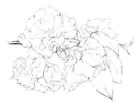 櫻花素描畫法步驟03
