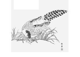 白描錦雞作品圖片