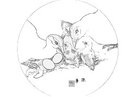 白描孔雀作品圖片