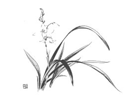 俞致貞白描蘭花作品圖片
