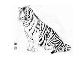 坐姿老虎白描作品圖片