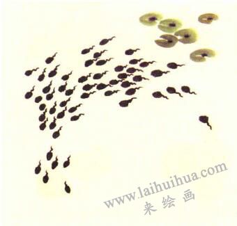 小蝌蚪兒童水墨畫畫法步驟03