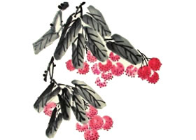 荔枝兒童水墨畫畫法