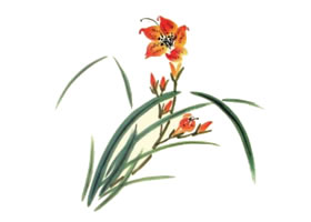 萱草兒童水墨畫畫法