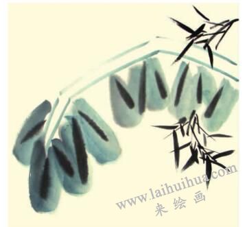 芭蕉兒童水墨畫畫法步驟04