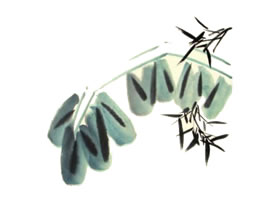 芭蕉兒童水墨畫畫法