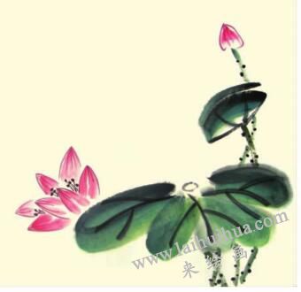 小荷花荷葉兒童水墨畫(huà)畫(huà)法步驟03