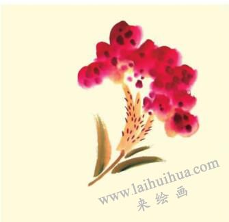 雞冠花兒童水墨畫畫法步驟03