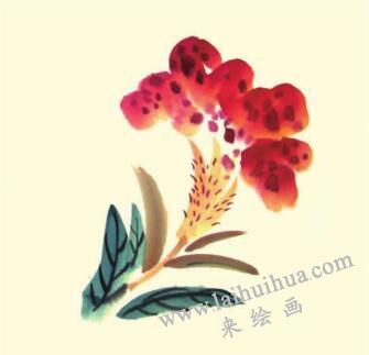 雞冠花兒童水墨畫畫法步驟04