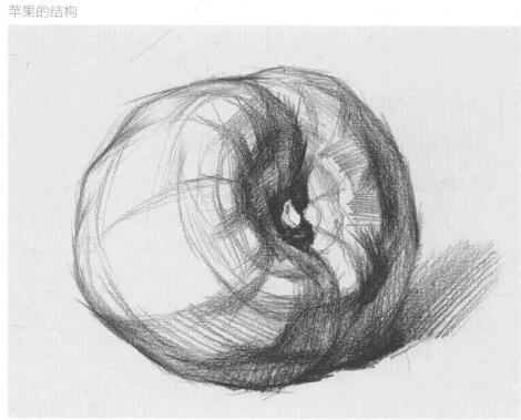 蘋果的作畫步驟與結(jié)構(gòu)素描練習(xí)