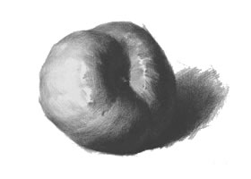 蘋(píng)果的作畫(huà)步驟與結(jié)構(gòu)素描練習(xí)