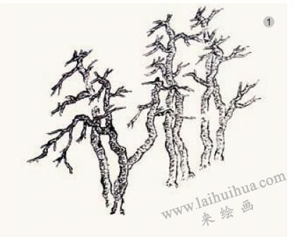 《松色幽姿》的畫法步驟01