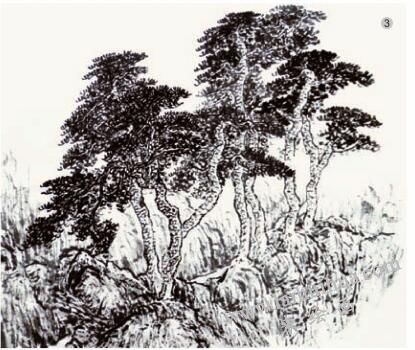 《松色幽姿》的畫法步驟03