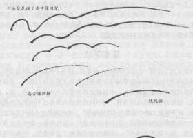 禽鳥(niǎo)白描畫法的基本筆法