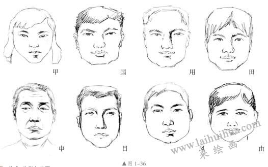 頭部結(jié)構(gòu)特征與比例關(guān)系02，人物頭部素描畫法