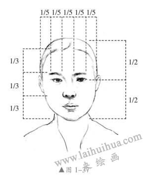 頭部結(jié)構(gòu)特征與比例關(guān)系03，人物頭部素描畫法