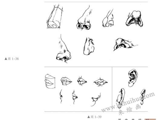五官的造型特征，人物頭部素描畫法