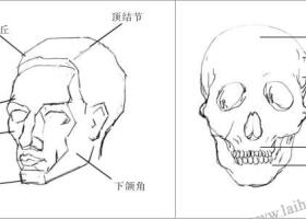 人物頭部素描畫(huà)法