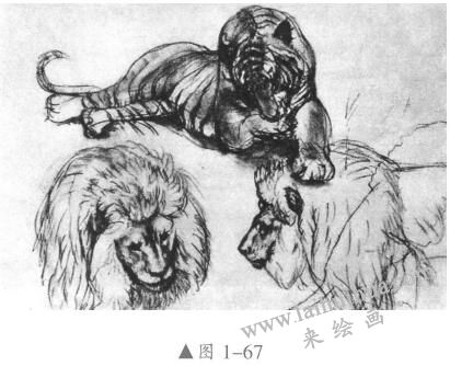 素描動物的畫法01