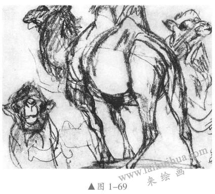 素描動物的畫法03