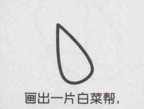 小白菜簡筆畫畫法步驟01