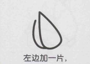 小白菜簡筆畫畫法步驟02