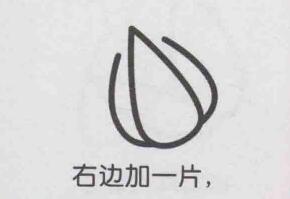 小白菜簡筆畫畫法步驟03