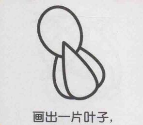 小白菜簡筆畫畫法步驟04