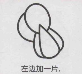 小白菜簡筆畫畫法步驟05
