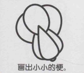 小白菜簡筆畫畫法步驟07