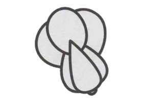 小白菜簡(jiǎn)筆畫(huà)