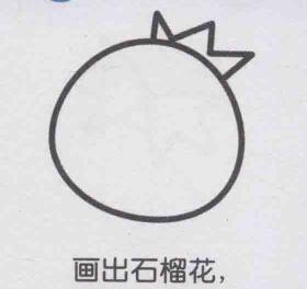 石榴簡筆畫畫法步驟02
