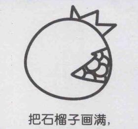 石榴簡筆畫畫法步驟05
