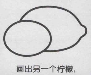 檸檬簡筆畫畫法步驟03