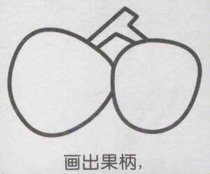 荔枝簡(jiǎn)筆畫(huà)畫(huà)法步驟03
