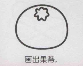 橘子簡筆畫畫法步驟03