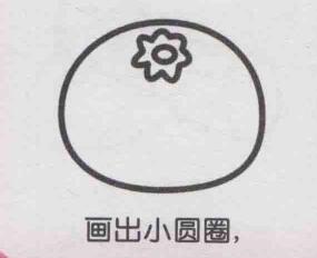 橘子簡筆畫畫法步驟04