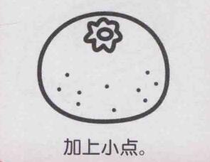 橘子簡筆畫畫法步驟05