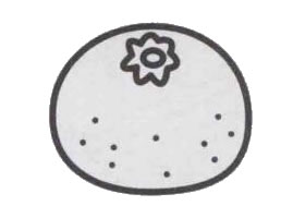 橘子簡(jiǎn)筆畫