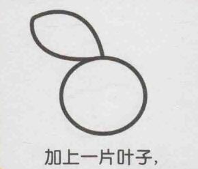 橙子簡筆畫畫法步驟02